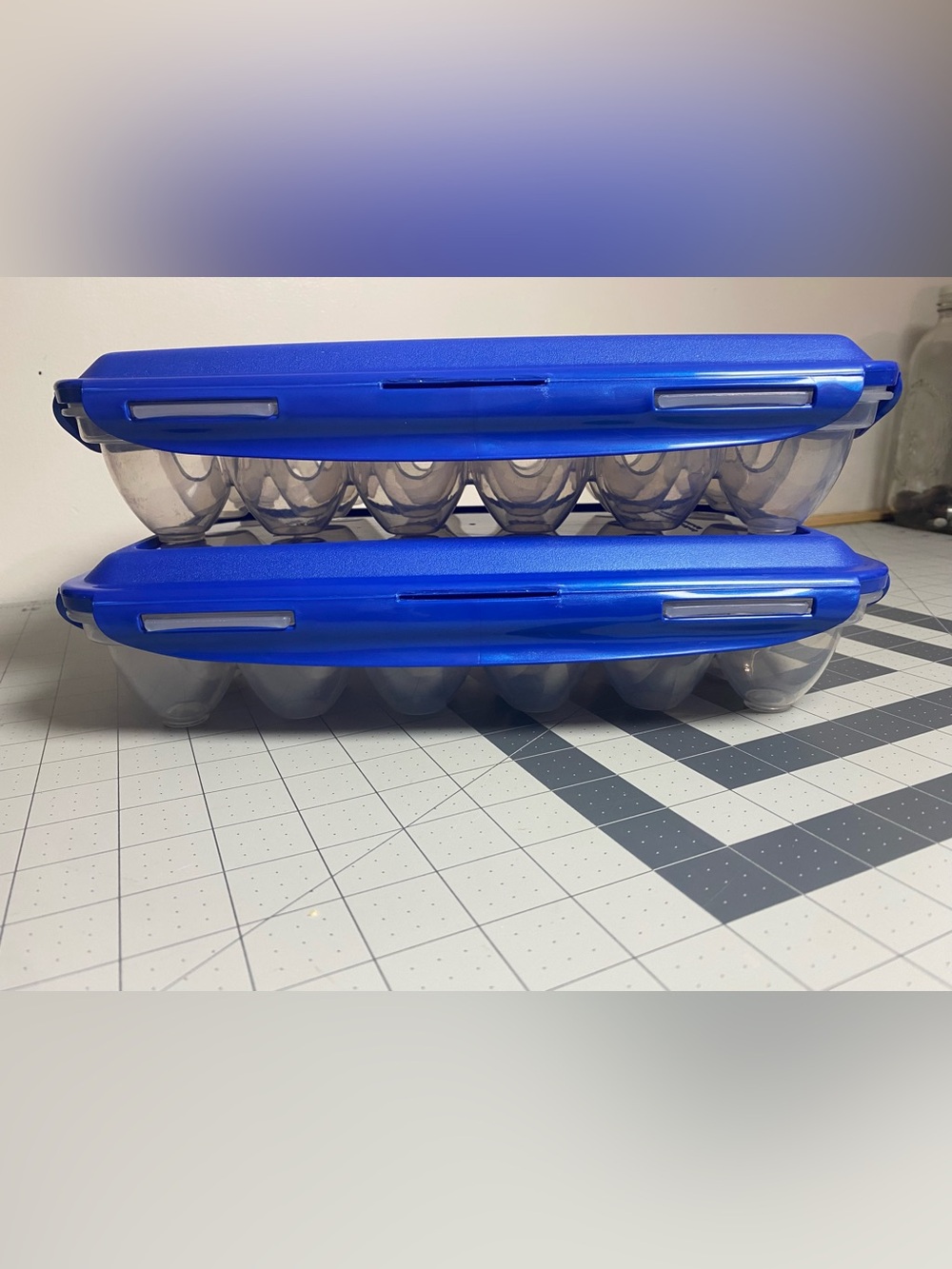 Blue Plastic 18 count Egg Storage Containers - Set of 2
